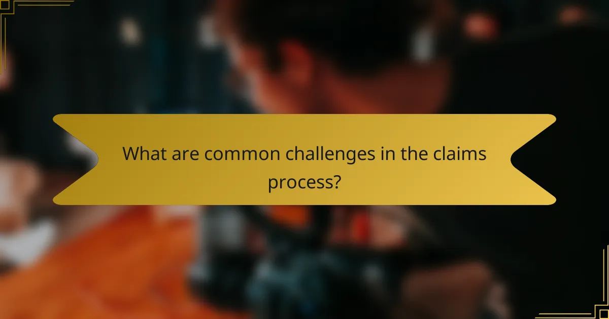 What are common challenges in the claims process?