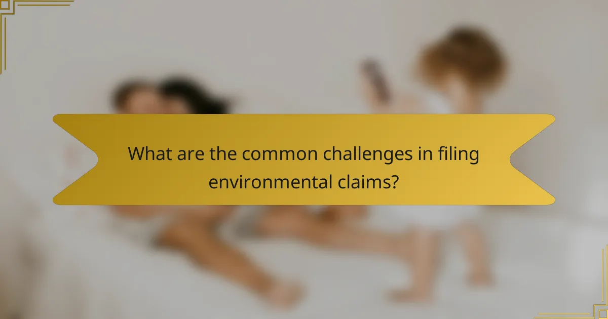 What are the common challenges in filing environmental claims?