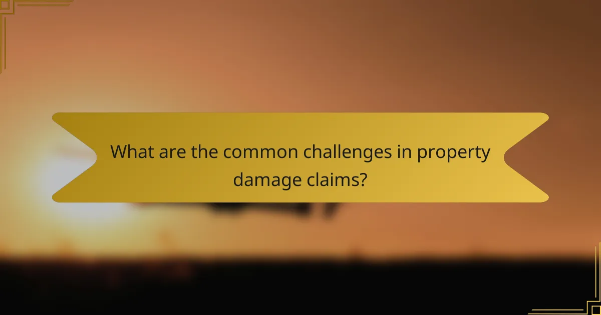 What are the common challenges in property damage claims?