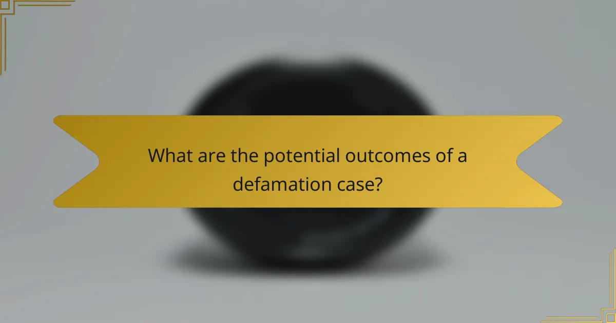 What are the potential outcomes of a defamation case?